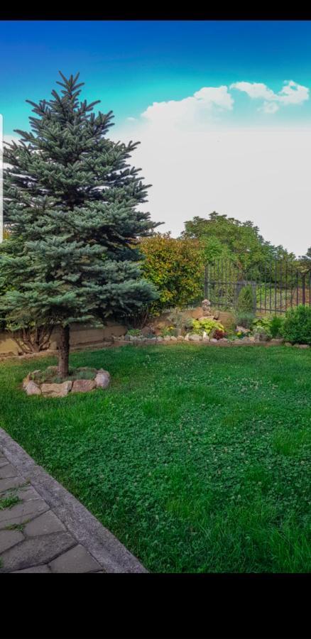 Apartment Dina Скопие Екстериор снимка