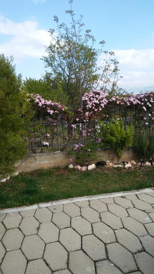 Apartment Dina Скопие Екстериор снимка
